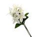 Stephanotis Pick - White & Green (30cm Height, 12Stems per pk)