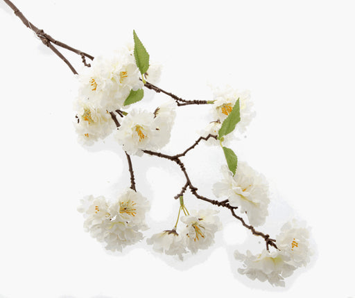 Small Cherry Blossom Spray - Cream (75cm Long)