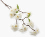 Small Cherry Blossom Spray - Cream (75cm Long)