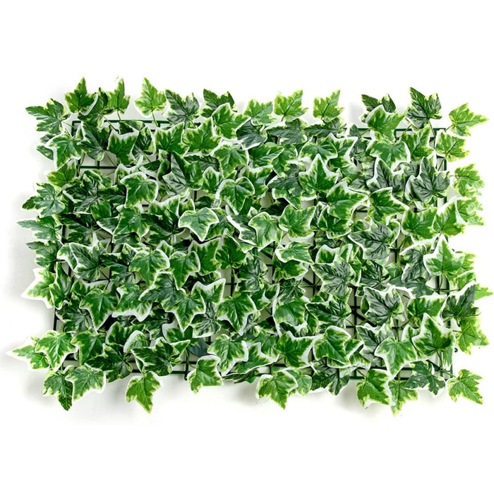 Ivy Foliage Tile - Variegated (50cm x 50cm)