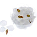 Rose Petals - White (164pcs per pk)