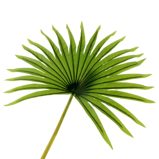 Real Touch Fan Palm Leaf - Green (82cm Long)