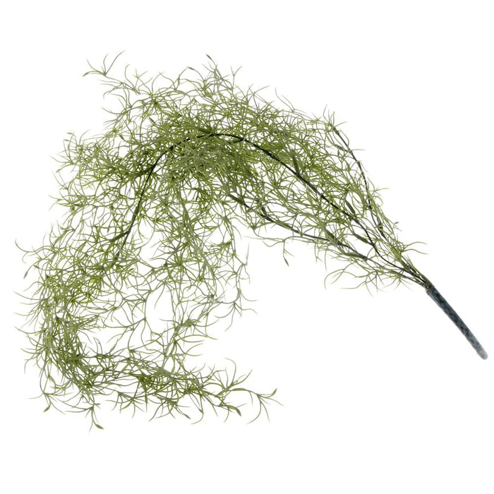 Tillandsia - Green (85cm long)