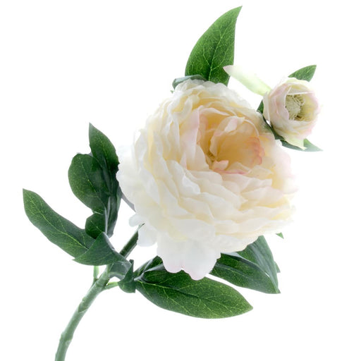 Peony - Cream/Pink (1 flower & 1 bud, 64cm long)