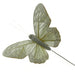 7cm Pastel Sparkle Feather Butterflies - Cream (12pcs per pk on a 20cm Wire)