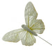 10cm Pastel Sparkle Feather Butterflies - Cream (12pcs per pk on a 20cm Wire)