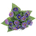 Ranunculus Bush - Blue Mix (18 Heads)