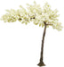 Canopy Cherry Blossom Tree - Ivory/White (3.2m tall)