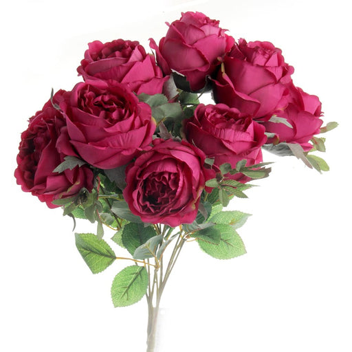 Peony Rose Bush - Cerise (10 heads)