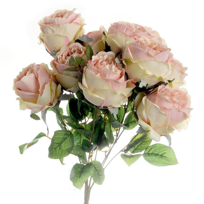 Peony Rose Bush - Pink/Cream (10 heads)