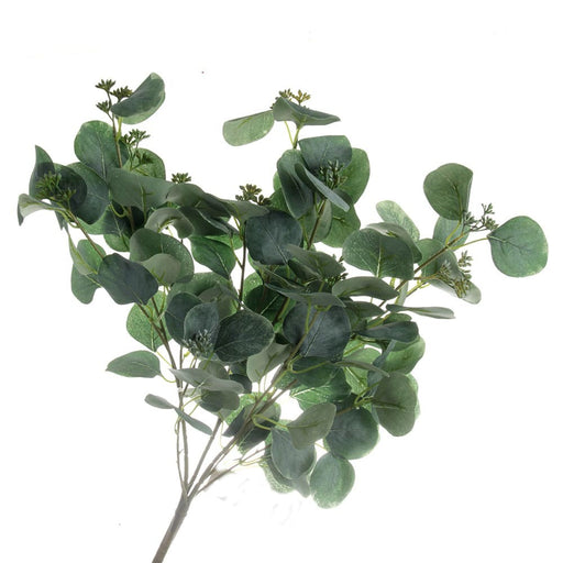 Populus Eucalyptus Bush - Green (48cm long)