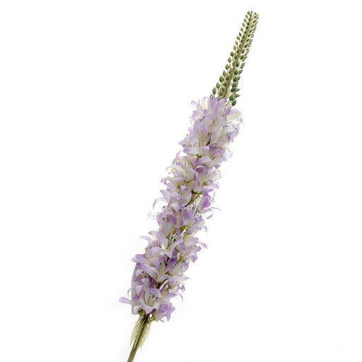 Lupin - Purple (106cm long)