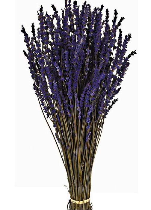 Preserved Lavender - Purple (150g)