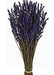 Preserved Lavender - Purple (150g)