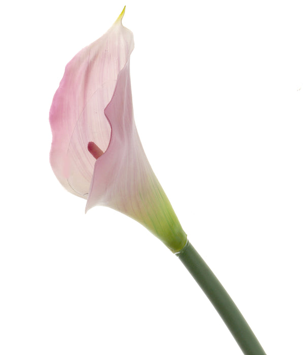 Real Touch Calla Lily - Pink/Cream (68cm long)