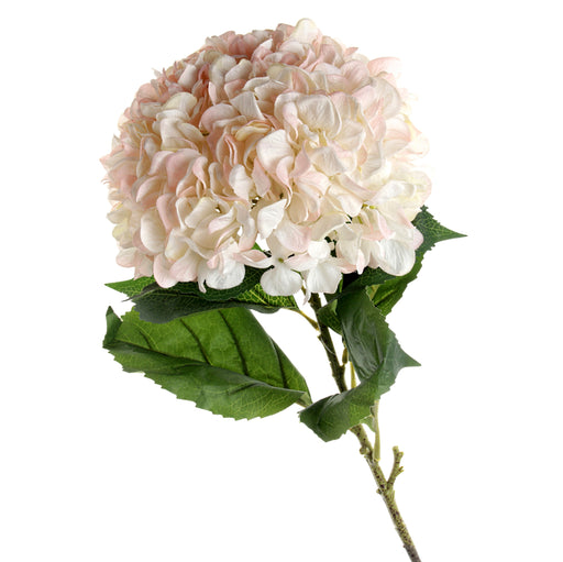 Large Hydrangea - Blush Pink  (30cm diameter, 106cm long)