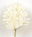 Sun Palm - White (6pcs per pk)