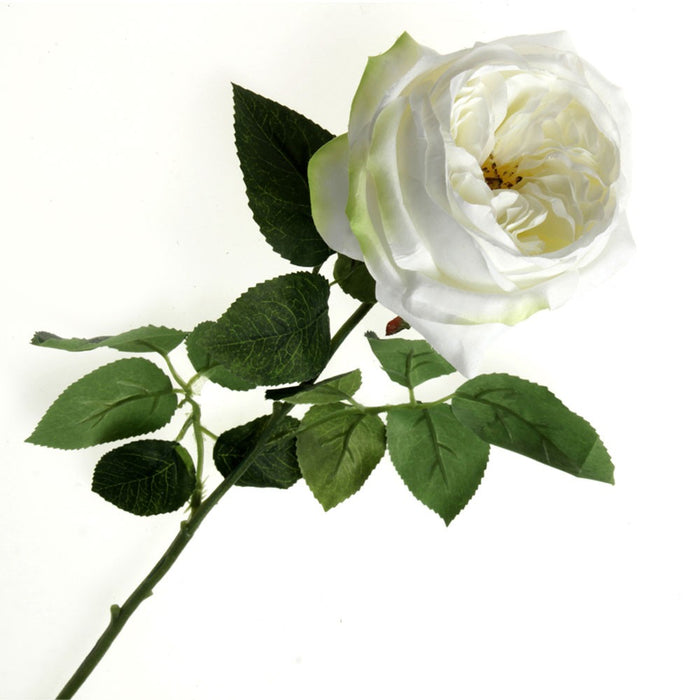 Garden Rose - White (50cm long)