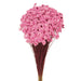 Glixia - Light Pink (50cm tall, 50g)