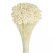 Amarelino - White (45cm tall, 120g)