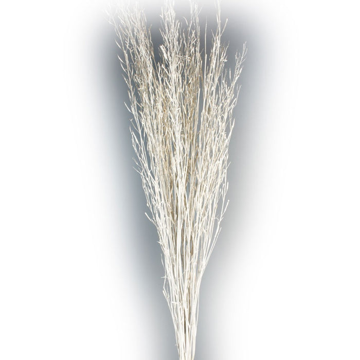 Mustard Grass - White (1m tall, 100g)