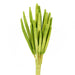 Babala - Light Green (75cm tall, 15pcs per pk)