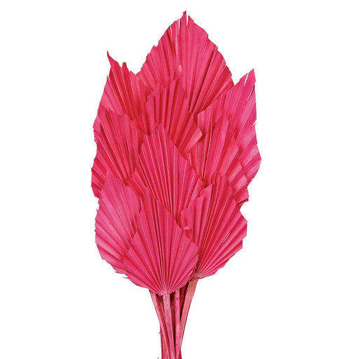 Palm Spear - Pink (10pcs per pk)