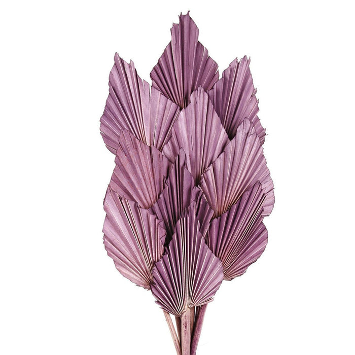 Palm Spear - Purple (10pcs per pk)