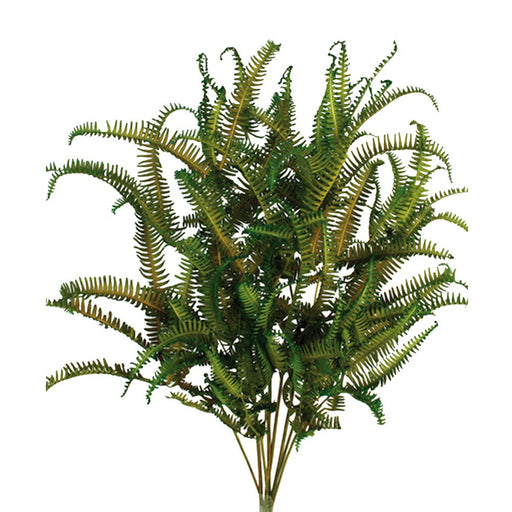 Preserved Single Fern - Green (45cm tall, 50g per pk)