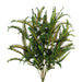 Preserved Single Fern - Green (45cm tall, 50g per pk)