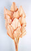 Palm Spear - Peach (10pcs per pk)