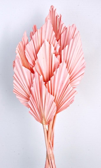 Palm Spear - Light Pink (10pcs per pk)