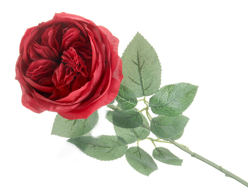 Garden Rose - Red (50cm long)