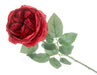 Garden Rose - Red (50cm long)