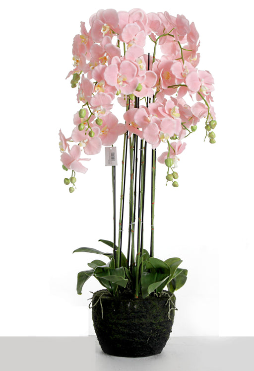 Real Touch Artificial Orchids In Moss Pot - Pink (110cm tall, 9 stems)