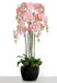 Real Touch Artificial Orchids In Moss Pot - Pink (110cm tall, 9 stems)