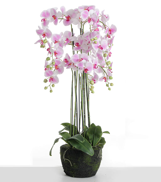 Real Touch Artificial Orchids In Moss Pot - Purple/White (110cm tall, 9 stems)