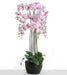 Real Touch Artificial Orchids In Moss Pot - Purple/White (110cm tall, 9 stems)