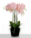 Real Touch Artificial Orchids In Moss Pot - Pink (60cm tall, 6 stems)