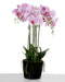 Real Touch Artificial Orchids In Moss Pot - Purple/White (60cm tall, 6 stems)