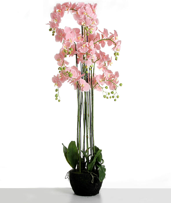 Real Touch Artificial Orchids In Moss Pot - Pink (150cm tall, 13 stems)