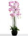 Real Touch Artificial Orchids In Moss Pot - Purple/White (150cm tall, 13 stems)