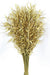 Avena Salvaje (Wild Oats) - Natural (80cm long, 200g per pk)