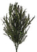 Preserved Three Fern - Green (45cm tall, 50g per pk)