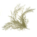 Feathered Fern Bush - Green/White (78cm long)