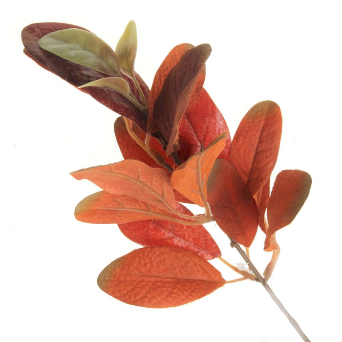 Ficus Callosa Spray - Orange (35cm long)