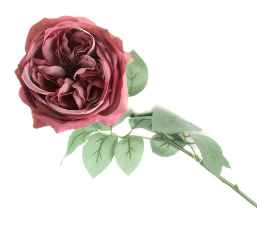 Garden Rose - Dusty Rose (50cm long)