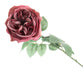 Garden Rose - Dusty Rose (50cm long)