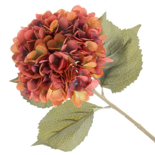 Single Hydrangea - Burnt Orange (19cm diameter, 82cm long)