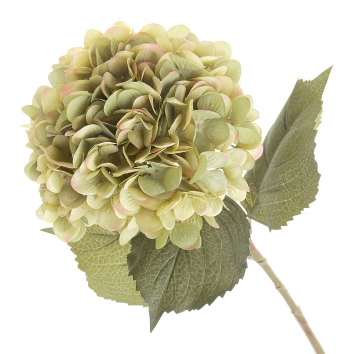 Single Hydrangea - Light Olive Green (19cm diameter, 82cm long)